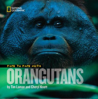 Carte Face to Face with Orangutans Cheryll Knott
