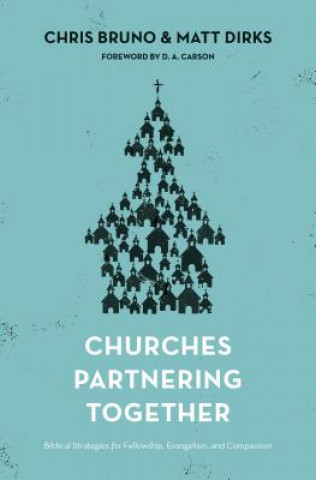 Książka Churches Partnering Together Matt Dirks