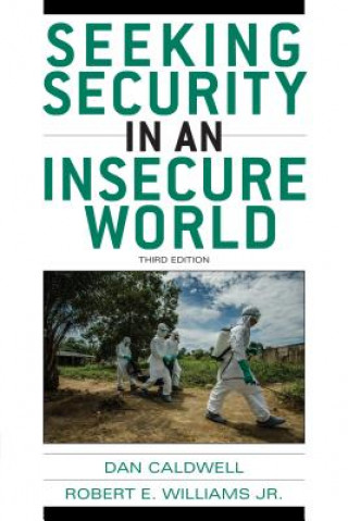 Kniha Seeking Security in an Insecure World Dan Caldwell