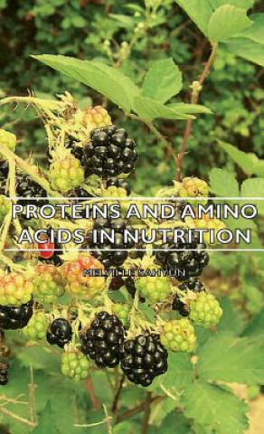 Könyv Proteins And Amino Acids In Nutrition Melville Sahyun