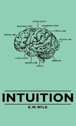 Kniha Intuition K.W. Wild