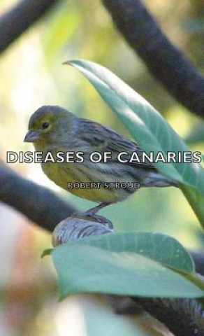 Book Diseases of Canaries Robert Stroud