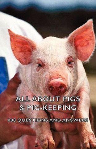Книга All About Pigs & Pig-Keeping - 800 Questions and Answers Various