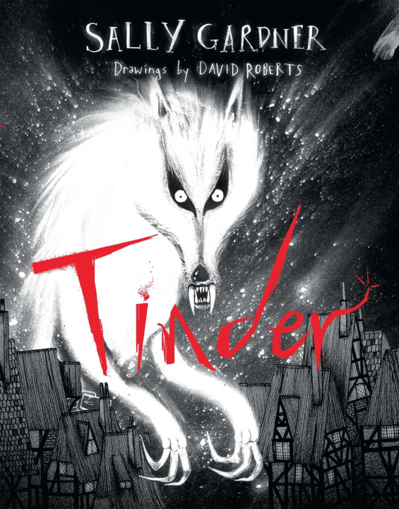 Boek Tinder Sally Gardner