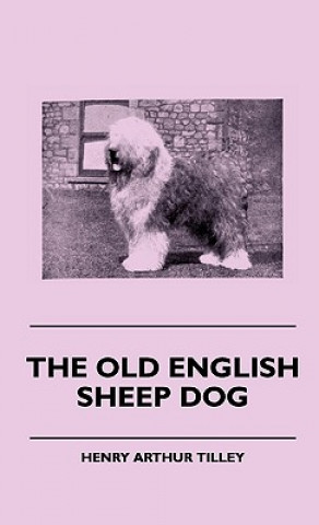 Carte Old English Sheep Dog Henry Arthur Tilley