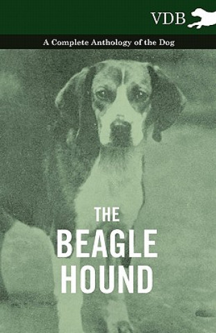 Carte Beagle Hound - A Complete Anthology of the Dog - Various (selected by the Federation of Children's Book Groups)