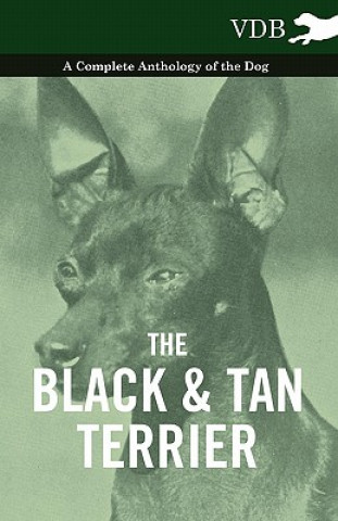 Kniha Black And Tan Terrier - A Complete Anthology of the Dog - Various (selected by the Federation of Children's Book Groups)