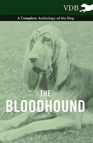 Könyv Bloodhound - A Complete Anthology of the Dog - Various (selected by the Federation of Children's Book Groups)