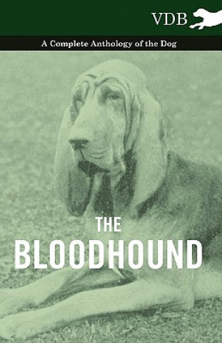 Book Bloodhound - A Complete Anthology of the Dog - Various (selected by the Federation of Children's Book Groups)