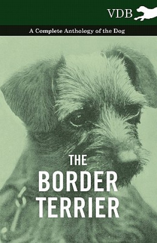 Könyv Border Terrier - A Complete Anthology of the Dog - Various (selected by the Federation of Children's Book Groups)