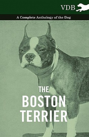 Könyv Boston Terrier - A Complete Anthology of the Dog - Various (selected by the Federation of Children's Book Groups)
