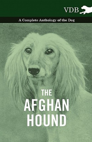 Carte Afghan Hound - A Complete Anthology of the Dog - Various (selected by the Federation of Children's Book Groups)