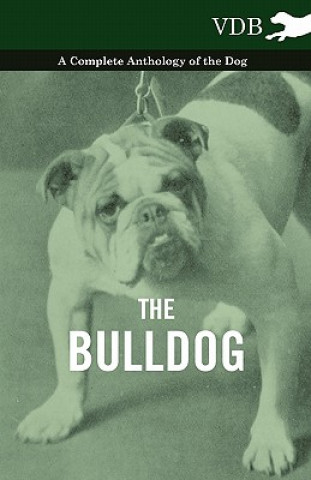 Book Bulldog - A Complete Anthology of the Dog - Various (selected by the Federation of Children's Book Groups)