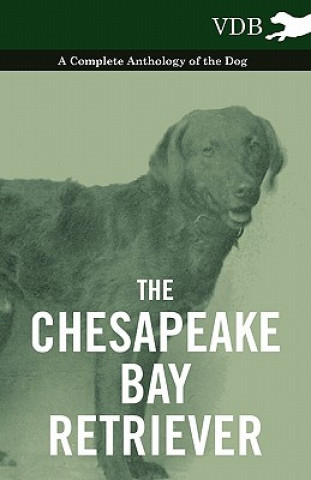 Könyv Chesapeake Bay Retriever - A Complete Anthology of the Dog - Various (selected by the Federation of Children's Book Groups)