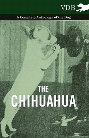 Carte Chihuahua - A Complete Anthology of the Dog - Various (selected by the Federation of Children's Book Groups)