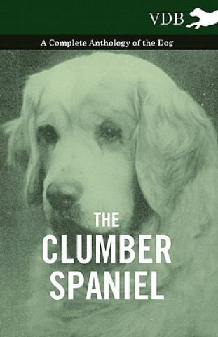 Book Clumber Spaniel - A Complete Anthology of the Dog - Various (selected by the Federation of Children's Book Groups)