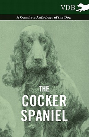 Kniha Cocker Spaniel - A Complete Anthology of the Dog - Various (selected by the Federation of Children's Book Groups)