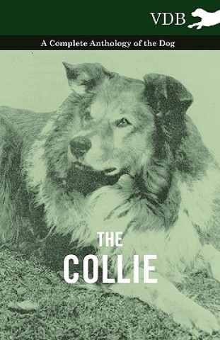 Kniha Collie - A Complete Anthology of the Dog - Various (selected by the Federation of Children's Book Groups)
