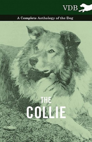 Livre Collie - A Complete Anthology of the Dog - Various (selected by the Federation of Children's Book Groups)