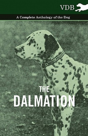 Książka Dalmatian - A Complete Anthology of the Dog - Various (selected by the Federation of Children's Book Groups)