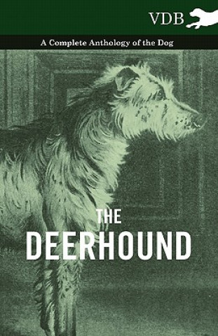 Carte Deerhound - A Complete Anthology of the Dog - Various (selected by the Federation of Children's Book Groups)