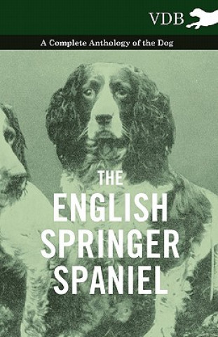 Kniha English Springer Spaniel - A Complete Anthology of the Dog Various (selected by the Federation of Children's Book Groups)