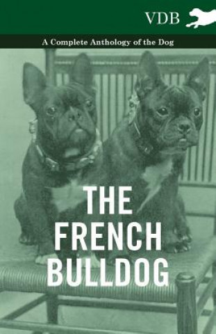 Kniha French BullDog A Complete Anthology of the Dog Various (selected by the Federation of Children's Book Groups)