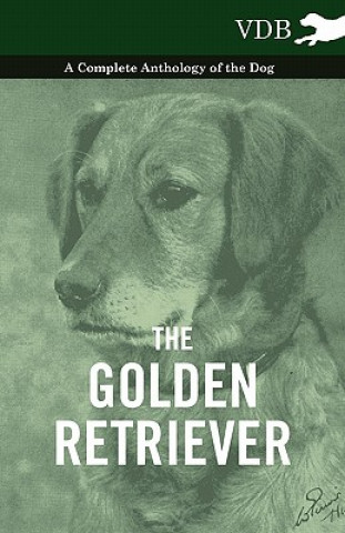 Książka Golden Retriever - A Complete Anthology of the Dog Various (selected by the Federation of Children's Book Groups)