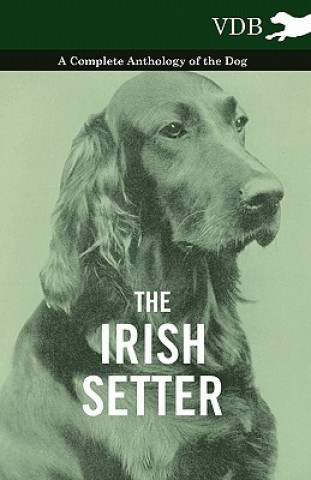 Könyv Irish Setter - A Complete Anthology of the Dog Various (selected by the Federation of Children's Book Groups)