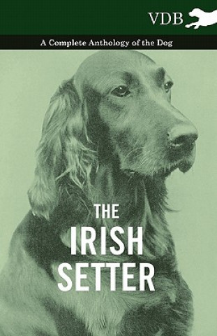 Kniha Irish Setter - A Complete Anthology of the Dog Various (selected by the Federation of Children's Book Groups)