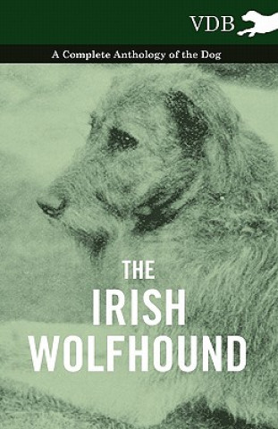 Carte Irish Wolfhound - A Complete Anthology of the Dog Various (selected by the Federation of Children's Book Groups)