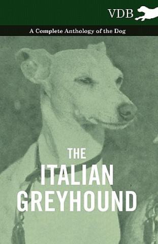 Книга Italian Greyhound - A Complete Anthology of the Dog Various (selected by the Federation of Children's Book Groups)