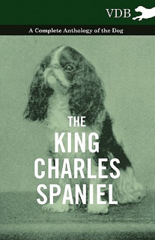 Knjiga King Charles Spaniel - A Complete Anthology of the Dog Various (selected by the Federation of Children's Book Groups)