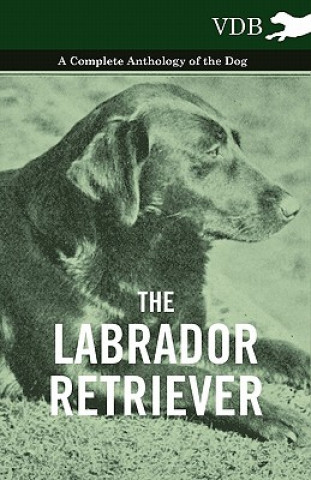 Carte Labrador Retriever - A Complete Anthology of the Dog Various (selected by the Federation of Children's Book Groups)