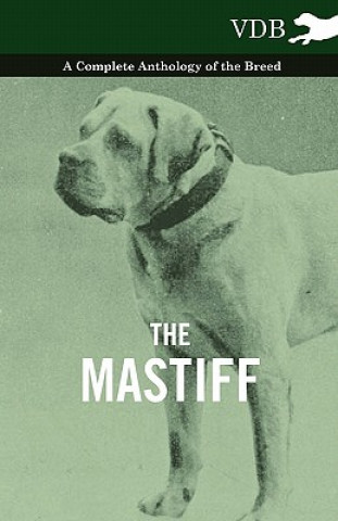 Kniha Mastiff - A Complete Anthology of the Breed Various (selected by the Federation of Children's Book Groups)