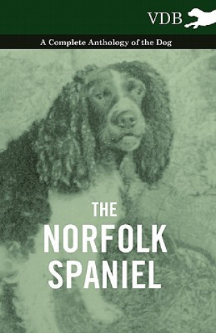 Kniha Norfolk Spaniel - A Complete Anthology of the Dog Various (selected by the Federation of Children's Book Groups)