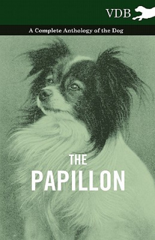 Kniha Papillon - A Complete Anthology of the Dog Various (selected by the Federation of Children's Book Groups)