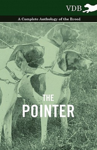 Książka Pointer - A Complete Anthology of the Breed Various (selected by the Federation of Children's Book Groups)