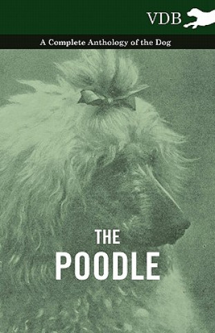 Kniha Poodle - A Complete Anthology of the Dog Various (selected by the Federation of Children's Book Groups)