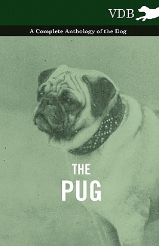 Книга Pug - A Complete Anthology of the Dog Various (selected by the Federation of Children's Book Groups)