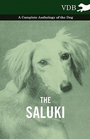 Knjiga Saluki - A Complete Anthology of the Dog Various (selected by the Federation of Children's Book Groups)