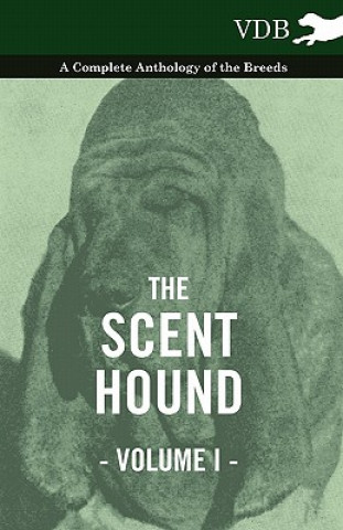 Carte Scent Hound Vol. I. - A Complete Anthology of the Breeds Various (selected by the Federation of Children's Book Groups)