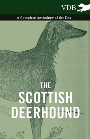 Kniha Scottish Deerhound - A Complete Anthology of the Dog Various (selected by the Federation of Children's Book Groups)