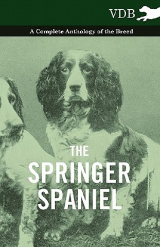 Kniha Springer Spaniel - A Complete Anthology of the Breed Various (selected by the Federation of Children's Book Groups)