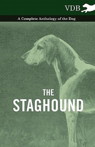 Книга Staghound - A Complete Anthology of the Dog Various (selected by the Federation of Children's Book Groups)