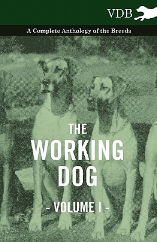 Kniha Working Dog Vol. I. - A Complete Anthology of the Breeds Various (selected by the Federation of Children's Book Groups)