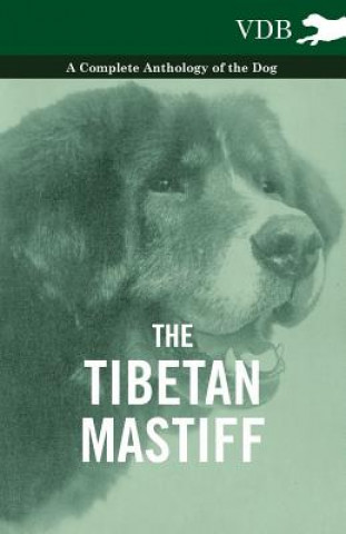 Carte Tibetan Mastiff - A Complete Anthology of the Dog Various (selected by the Federation of Children's Book Groups)