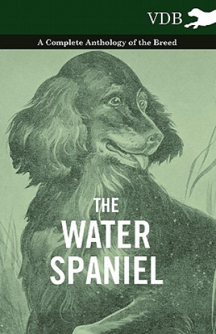 Carte Water Spaniel - A Complete Anthology of the Breed Various (selected by the Federation of Children's Book Groups)