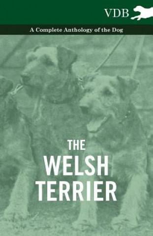 Książka Welsh Terrier - A Complete Anthology of the Dog Various (selected by the Federation of Children's Book Groups)