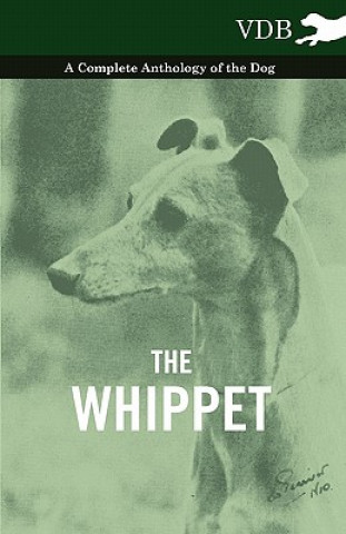Könyv Whippet - A Complete Anthology of the Dog Various (selected by the Federation of Children's Book Groups)